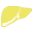 肝胆专科