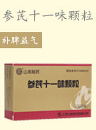 参芪十一味颗粒