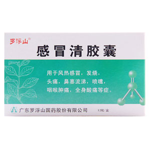 感冒清胶囊(罗浮山)