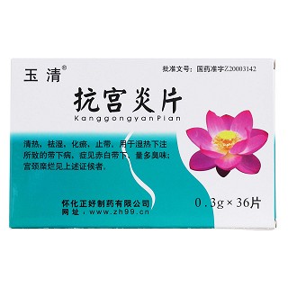 抗宫炎片价格