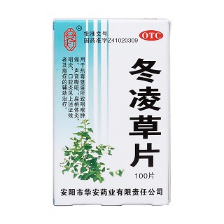 冬凌草片价格