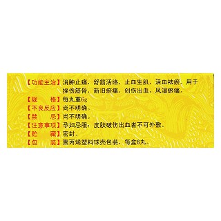 中华跌打丸(6g*6s)