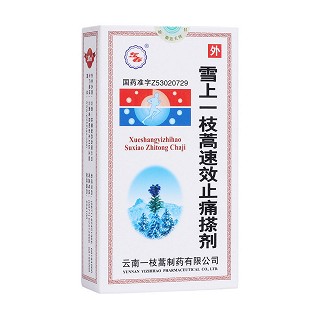 雪上一枝蒿速效止痛搽剂(东春)