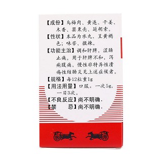 固肠止泻丸(泾渭)