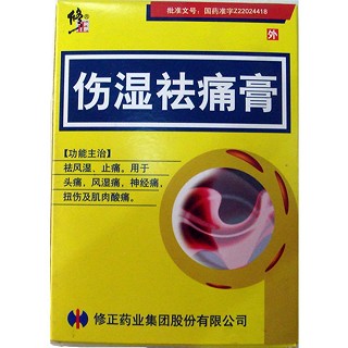伤湿祛痛膏(修正)