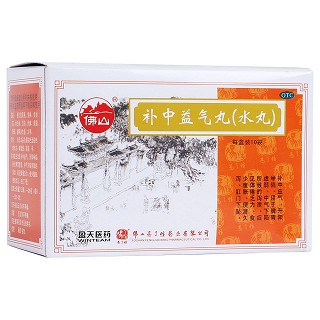 补中益气丸(冯了性)