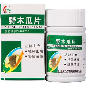 野木瓜片(康人龙华)