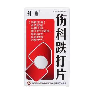 伤科跌打片(东陵)