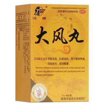大风丸(泾渭)