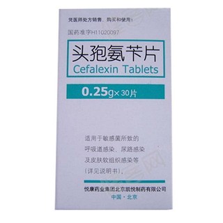 头孢氨苄片价格
