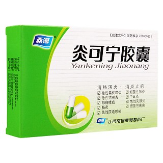 炎可宁胶囊(桑海)