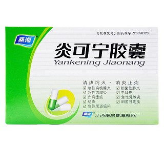 炎可宁胶囊价格
