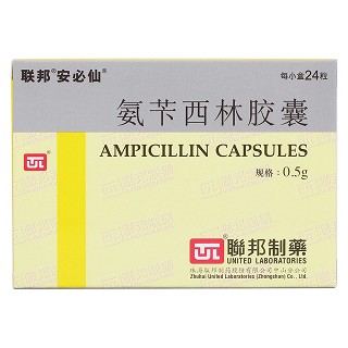 氨苄西林胶囊价格