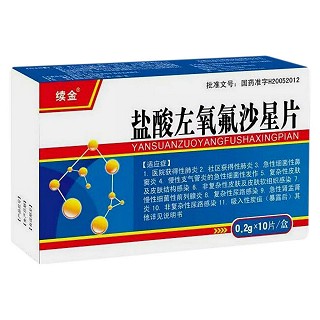 盐酸左氧氟沙星片(蓝图)