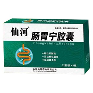 肠胃宁胶囊(仙河)