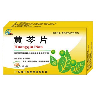 黄芩片(奕凯)
