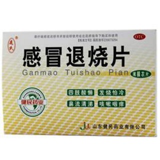 感冒退烧片(健民)