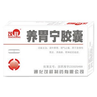 养胃宁胶囊(茂祥)