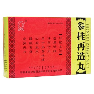 参桂再造丸(丹龙)