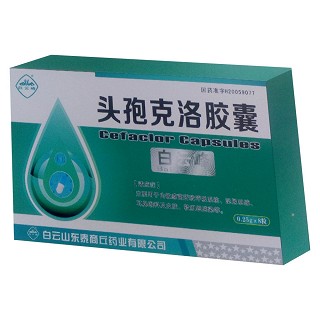 头孢克洛胶囊 (白云泰商丘)