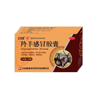 羚羊感冒胶囊(石药永丰)