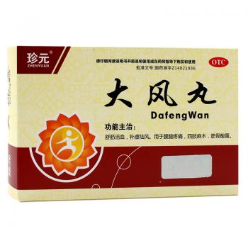 大风丸(珍元)