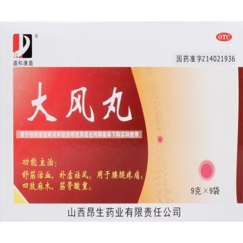 大风丸(道和康鑫)