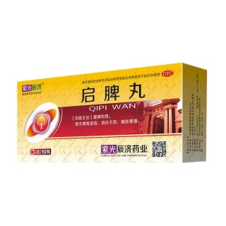 启脾丸(辰济)