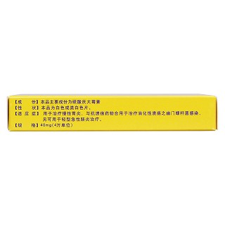 硫酸庆大霉素缓释片(江西制药)