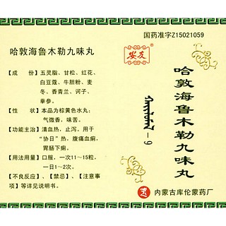 哈敦海鲁木勒九味丸(库)