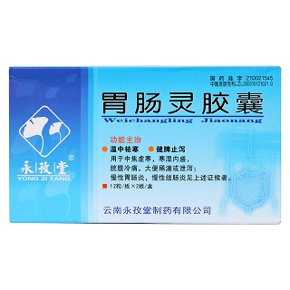 胃肠灵胶囊价格