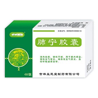 肺宁胶囊(益民堂)