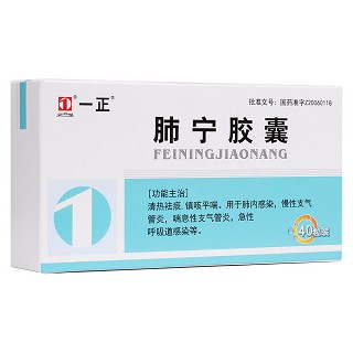 肺宁胶囊(益民堂)