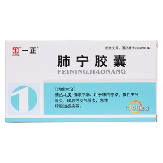 肺宁胶囊价格