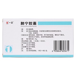 肺宁胶囊(益民堂)