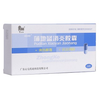 蒲地蓝消炎胶囊(心宝药业)