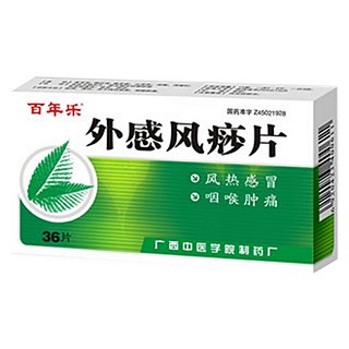 外感风痧片(中医药)