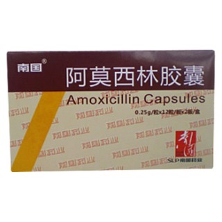 阿莫西林胶囊(南国)