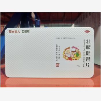 壮腰健肾片(百善)