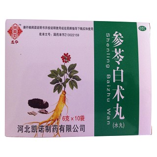 参苓白术丸(御義堂)