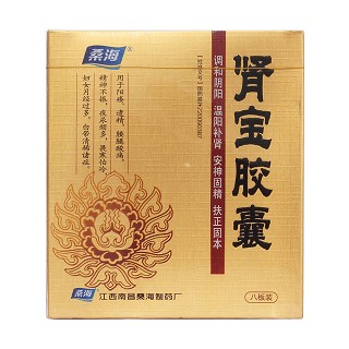 肾宝胶囊价格