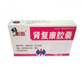 肾复康胶囊(修正)