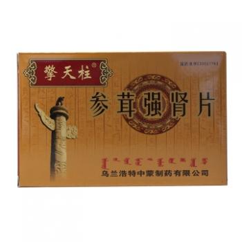参茸强肾片(擎天柱)