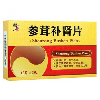 参茸补肾片(修正)