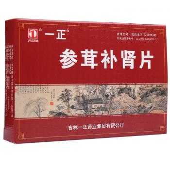 参茸补肾片(一正)