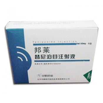 替尼泊苷注射液(邦莱)