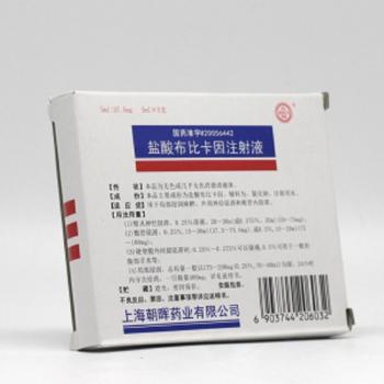 盐酸布比卡因注射液(朝晖)