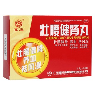 壮腰健肾丸(嘉应)