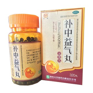 补中益气丸(汉源)