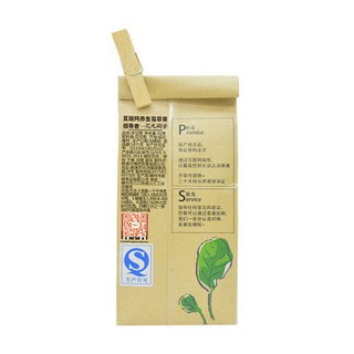 花丸同学 洋甘菊(朝)